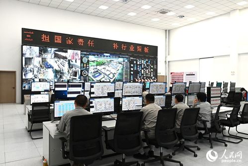 向智向绿，双轮驱动 技术咨询助力中国硅基材料产业破局前行