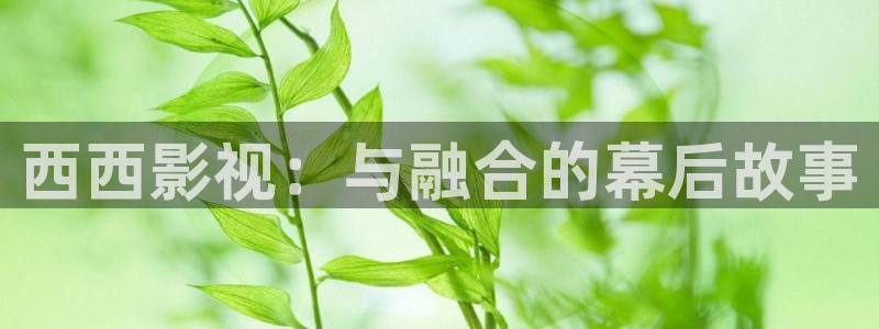 叫神马影院理论片：西西影视：与融合的幕后故事