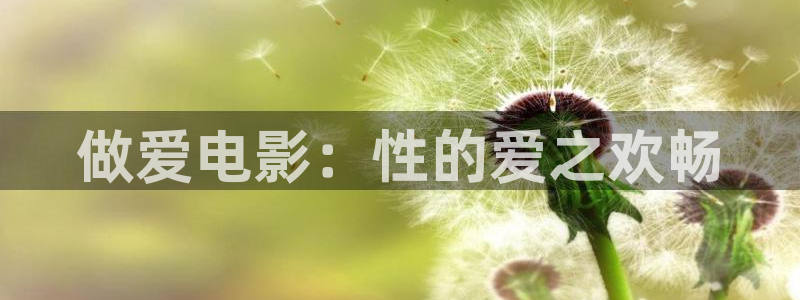 6080新视觉观影理论：做爱电影：性的爱之欢畅