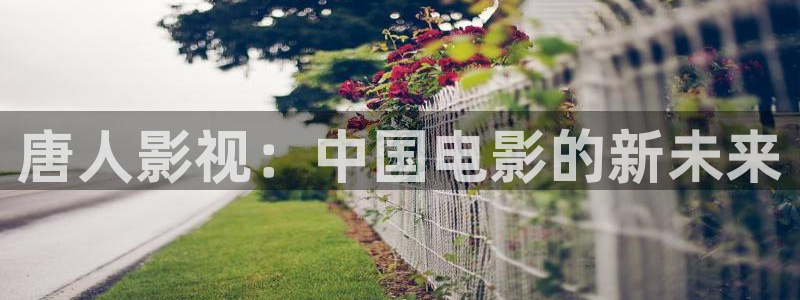 亚洲精品午夜理论电影网：唐人影视：中国电影的新未来