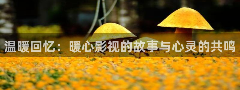 韩国理论最新电影：温暖回忆：暖心影视的故事与心灵的共鸣