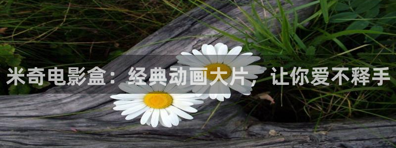 黄色影院理论：米奇电影盒：经典动画大片，让你爱不释手