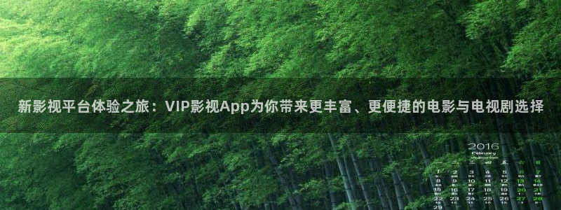 韩国三级理论电影在线播放：新影视平台体验之旅：VIP影视App为你带来更丰富、更便捷的电影与电视剧选择