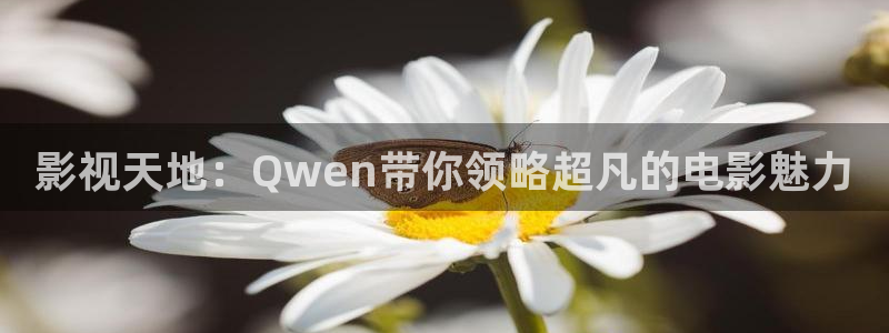 韩国好看的理论电影：影视天地：Qwen带你领略超凡的电影魅力