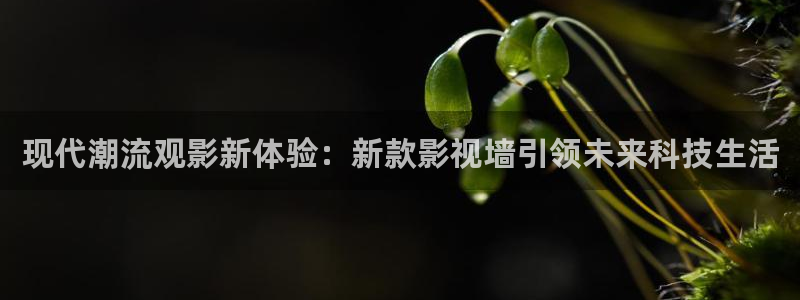 免费在线看理论永久片：现代潮流观影新体验：新款影视墙引领未来科技生活