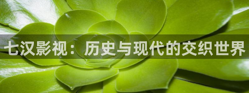 80s电影天堂理论：七汉影视：历史与现代的交织世界
