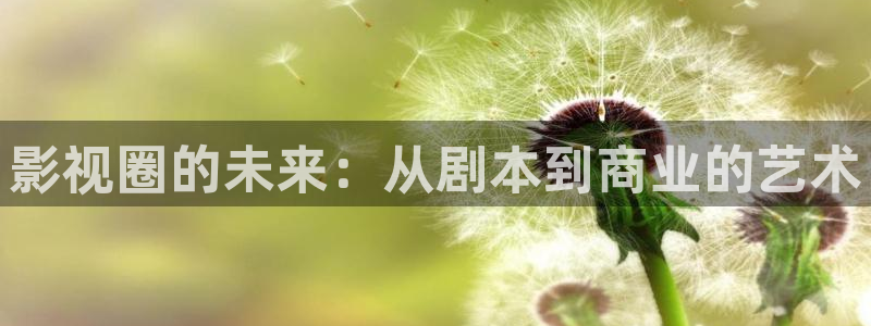 理论电影播放：影视圈的未来：从剧本到商业的艺术
